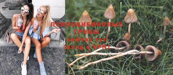 прущие крисы Алзамай