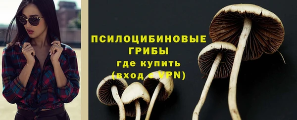 твердый Алексеевка