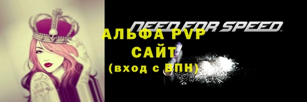 твердый Алексеевка