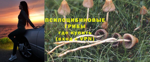 твердый Алексеевка