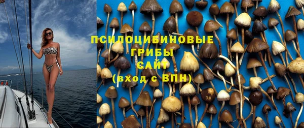 твердый Алексеевка