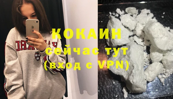 тгк Алексин
