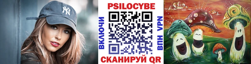 мега как войти  Артёмовский  Галлюциногенные грибы Cubensis 