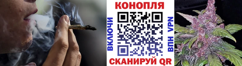 Канабис MAZAR  Артёмовский 